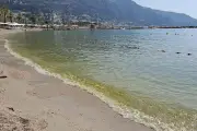 Eau verte aux Sablettes : brassage en cours jusqu'au 14 août