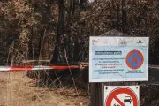 Escalade à Fontainebleau : repenser sport, nature et liberté