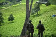 Ex-FARC dissidents revendiquent la capture d'un légionnaire