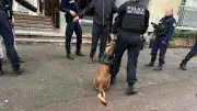 Exhibition sexuelle à Montpellier : un homme ivre arrêté