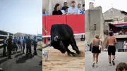 Explosion à Gruissan, taureau mort à Nîmes, arrêté à Carcassonne : l'essentiel