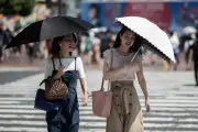 Face aux canicules, les entreprises japonaises adoptent les réfrigérateurs pour humains