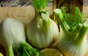 Fenouil : un légume léger, riche en nutriments et allié de la digestion