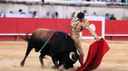 Feria de Béziers 2026 : le programme complet des clubs taurins