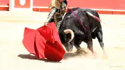 Feria de Béziers : Clovis en novillada piquée avec Victor et Olga Casado