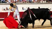 Feria de Béziers : corrida de gala avec Castella, Talavante et de Miranda