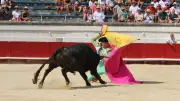 Feria de Béziers : Lisares vainqueur, Navarro impressionne
