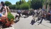 Feria de Saint-Laurent-des-Arbres : trois jours de fête camarguaise