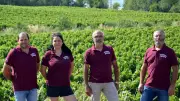 Feria vigneronne à Clermont-l'Hérault : vignerons et restaurateurs s'unissent