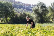 Ferme épargnée par les flammes, mais clients en fuite