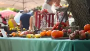 Festival de la tomate à Clapiers : une 19e édition entre marché paysan et débats