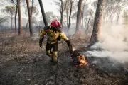 Feu de Gonfaron : le photoreporter Camille Dodet se souvient