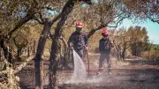 Feu de végétation à Saint-Paulet-de-Caisson : 33 pompiers mobilisés