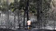 Feu du Gros Bessillon fixé après 18 jours dans le Var