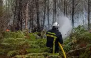 Feux de forêt : la plateforme FireWatch testée dans le Var et en Gironde