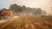Feux de forêt : les Bouches-du-Rhône en vigilance élevée