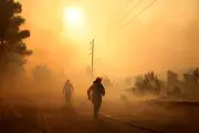 Feux ravageurs : plus aucun territoire n'est épargné