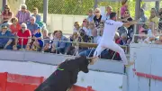 Finale du Raisin d’Or : les meilleurs raseteurs à Jonquières