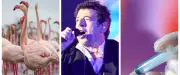 Flamants roses record, Bruel persona non grata à Montpellier