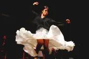 Flamenco, jazz, Bee Gees : nos idées sorties du 14 août dans les Alpes-Maritimes