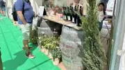 Foire aux vins d'Uzès : 51e édition avec 6 nouveaux domaines