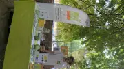 Foire bio à Barjac : saveurs et biodiversité sous les platanes