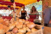 Foire de La Garde : l'oignon doux, star d'une tradition vieille de 147 ans