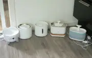 Fontaine à eau pour chat : notre sélection des 3 meilleurs modèles