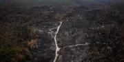 Fontainebleau : la forêt rouvre partiellement après l'incendie