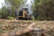 Forestiers-sapeurs : l'arme secrète contre les incendies dans le Var