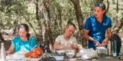 Forêt cobaye près de Marseille privée d'eau pour étudier le climat
