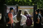 Forêt de Fontainebleau : réouverture partielle après les incendies