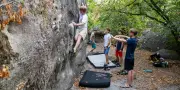 Forêt de Fontainebleau : réouverture partielle et questions sur l'avenir