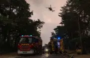 Forêt de Fontainebleau : réouverture partielle samedi après l'incendie