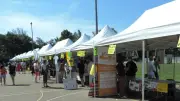 Forum des associations : une cinquantaine de structures au Pontet