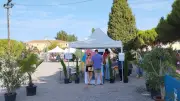Forum des associations à Villeneuve-lès-Maguelone le 4 septembre