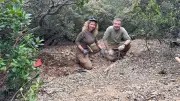 Fossiles de 470 M d'années à Cabrières : découverte majeure