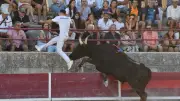 Foule d'animations taurines aux arènes de Pélissanne