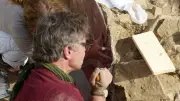 Fresque d'Ambrussum : une technique antique révélée par les archéologues