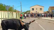 Fête de Garrigues Planes : taureaux et animations du 22 au 23 août