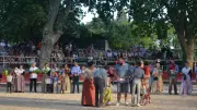 Fête de la bouvine au Cailar : voto, Oscars et traditions