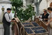 Fête de la figue de Solliès-Pont : programme du week-end