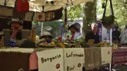 Fête de la laine à Génolhac : 32 exposants pour la 15e édition