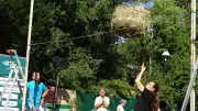Fête des foins à Montfavet : le lancer de bottes fait toujours recette