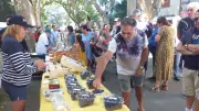 Fête du muscat du Ventoux à Malamort ce dimanche