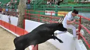 Fête votive d'Aramon : cinq jours de traditions camarguaises
