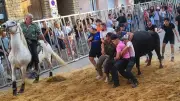 Fête votive de Laudun : trois jours de taureaux et d'animations