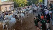 Fête votive de Laudun : un cru 2026 réussi sous le signe du Taureau