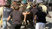 Fête votive de Roquemaure : traditions et convivialité au rendez-vous