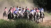 Fête votive de Sernhac : chute d'un cheval, le cavalier hospitalisé puis stabilisé